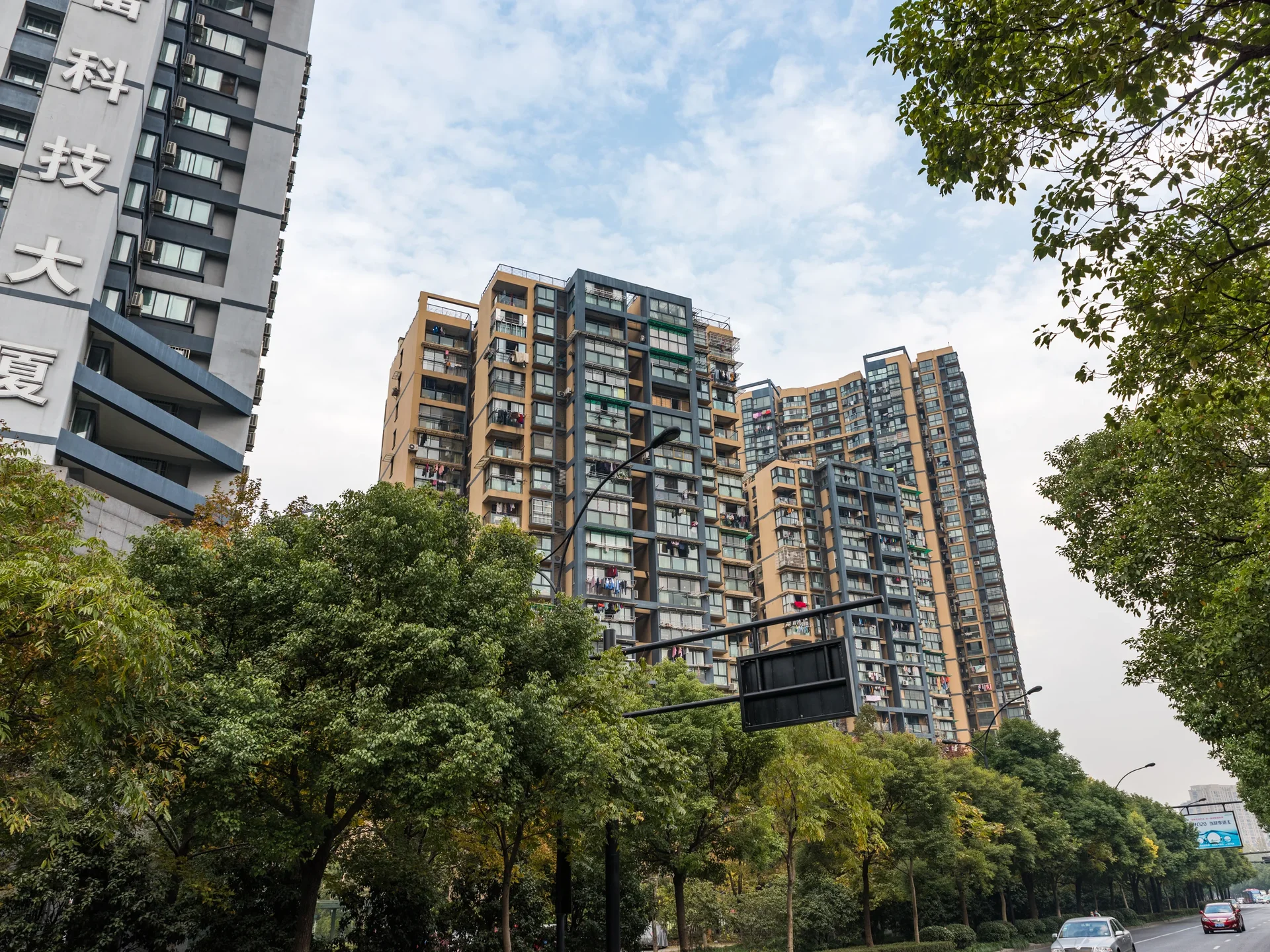 Phoenix North Garden - Photo 12