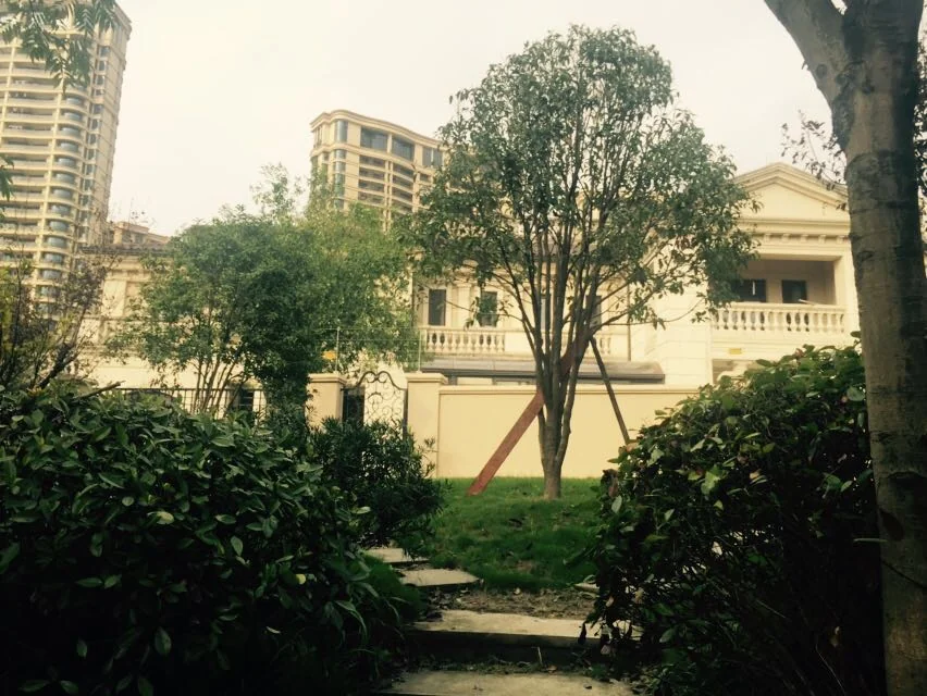 Tulip Shore - Photo 14