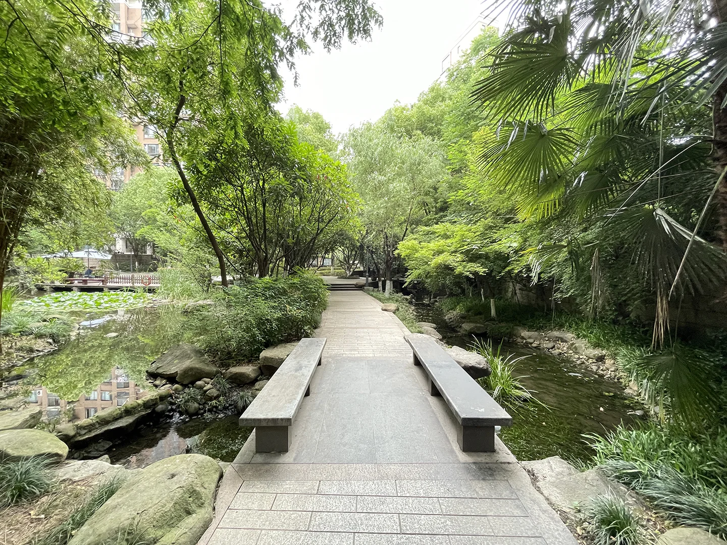 Platinum Shores - Photo 15