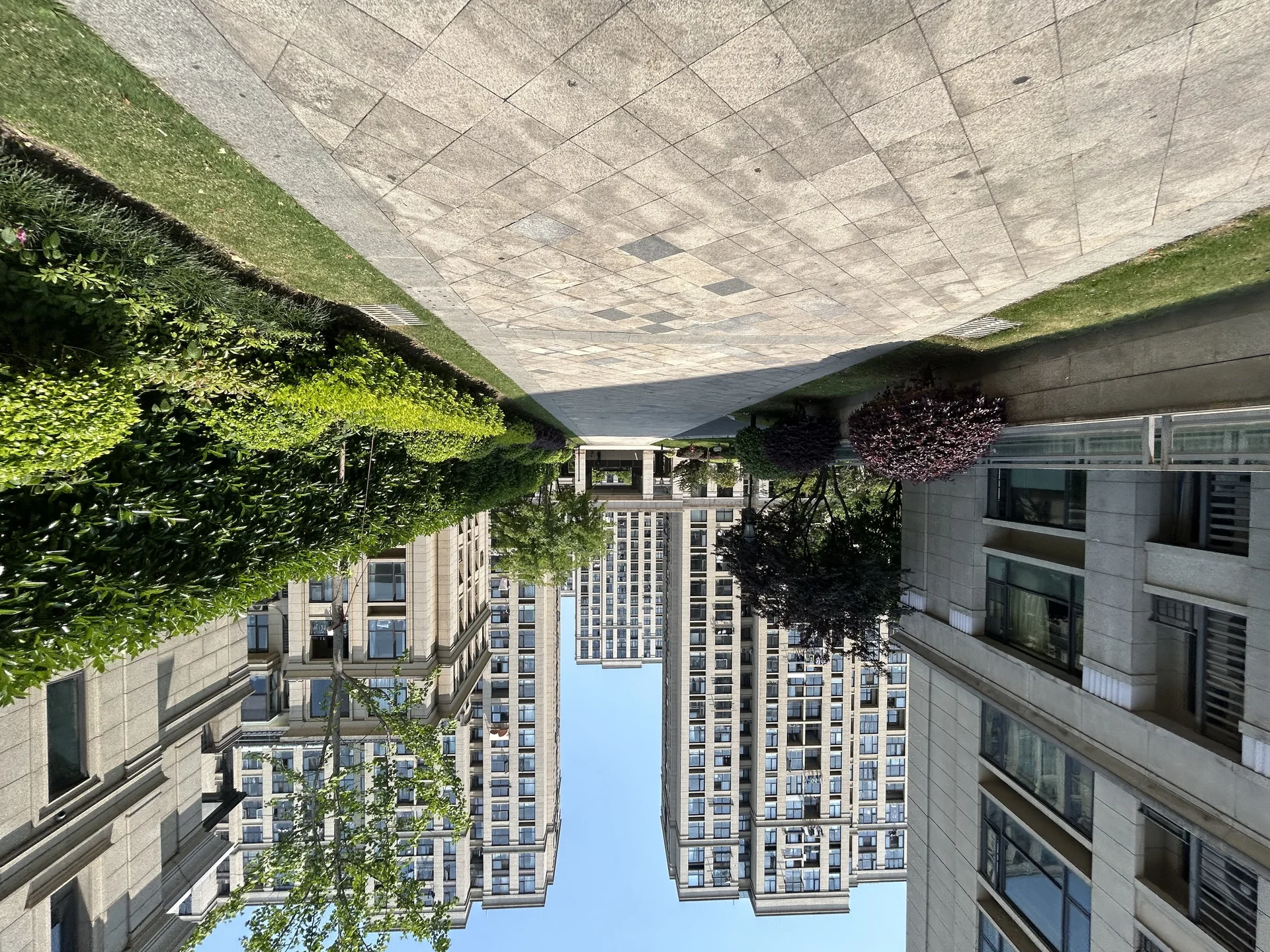 Baima Lake No.1 - Photo 5