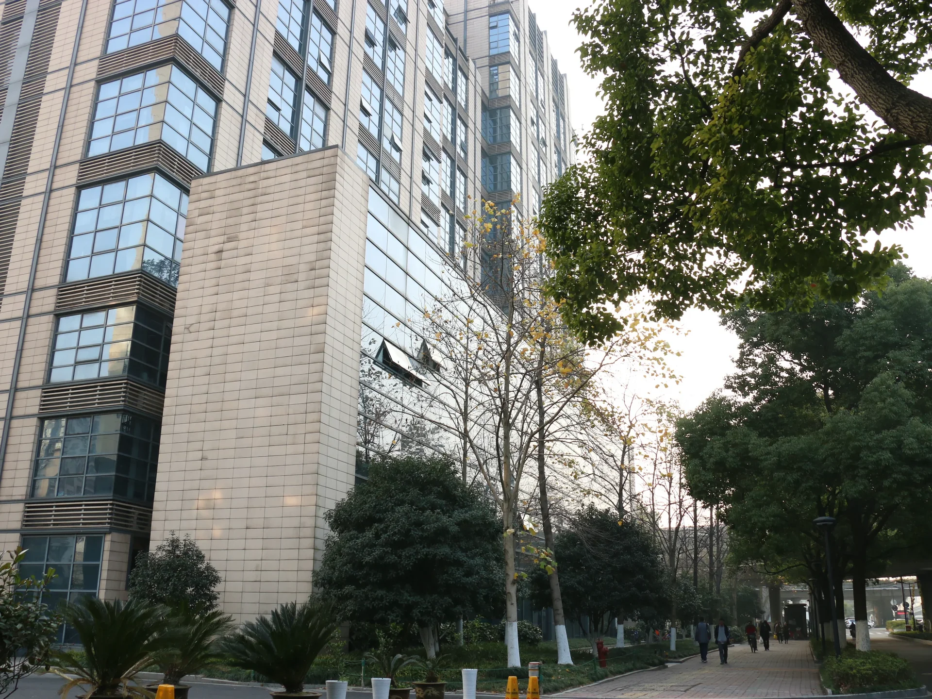 Aureate City - Photo 7