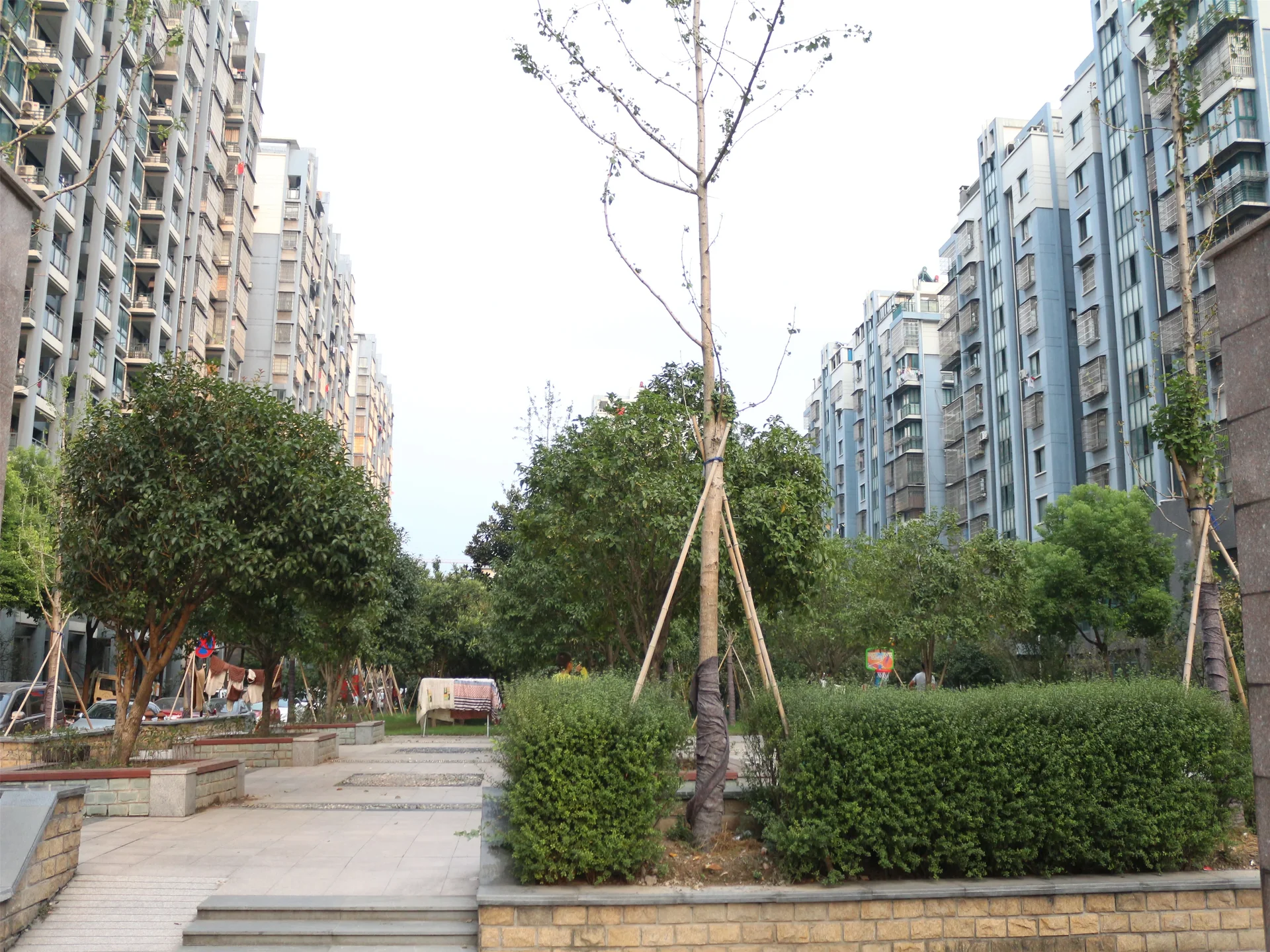 YC South Garden - Photo 9