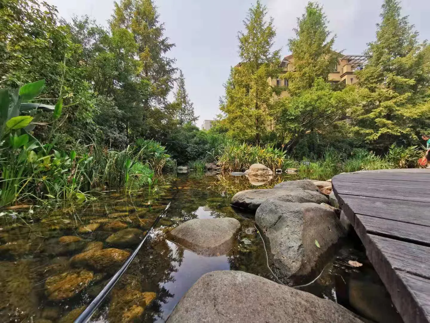 Allinsun Garden - Photo 11