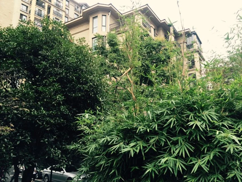 Jiangnan Moka - Photo 18