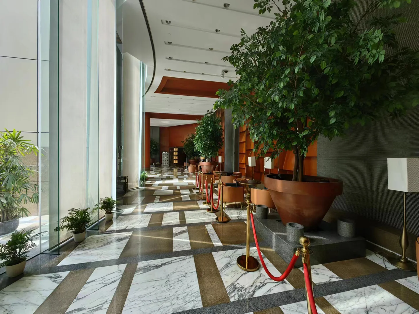 Oriental Golden - Photo 12