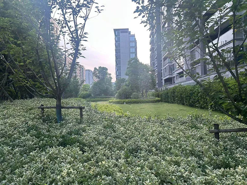 Light  Shade Harmony - Photo 4