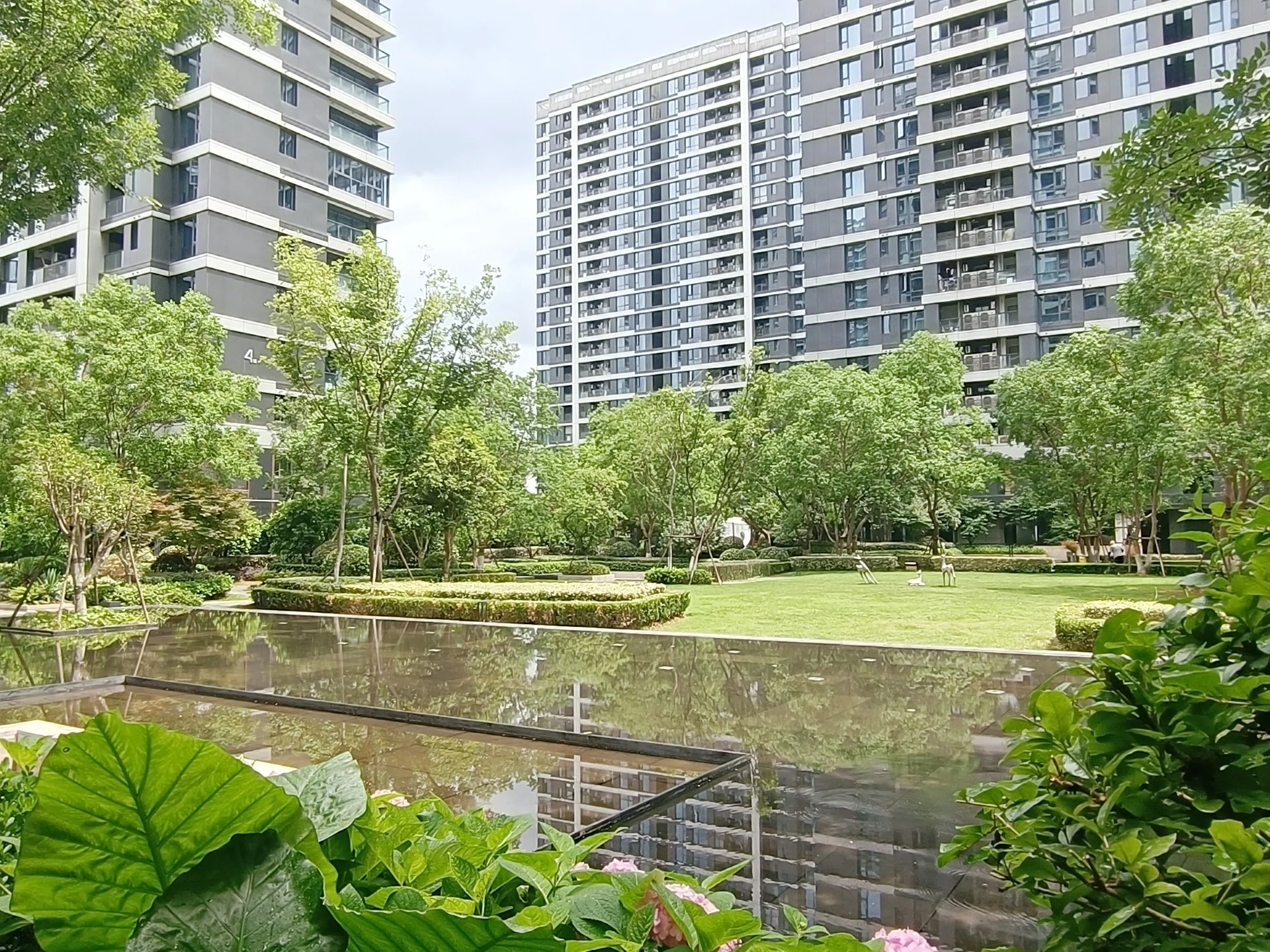 Yin Future - Photo 5