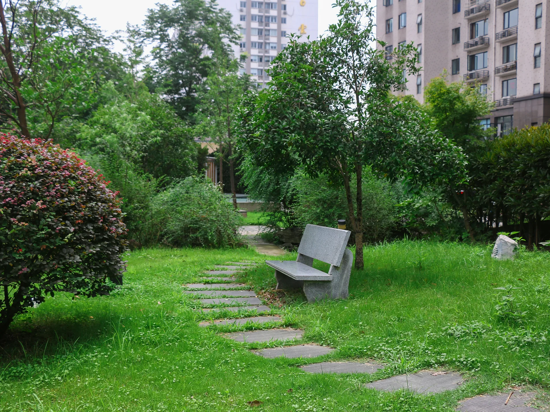 Natural Harvest Garden - Photo 22