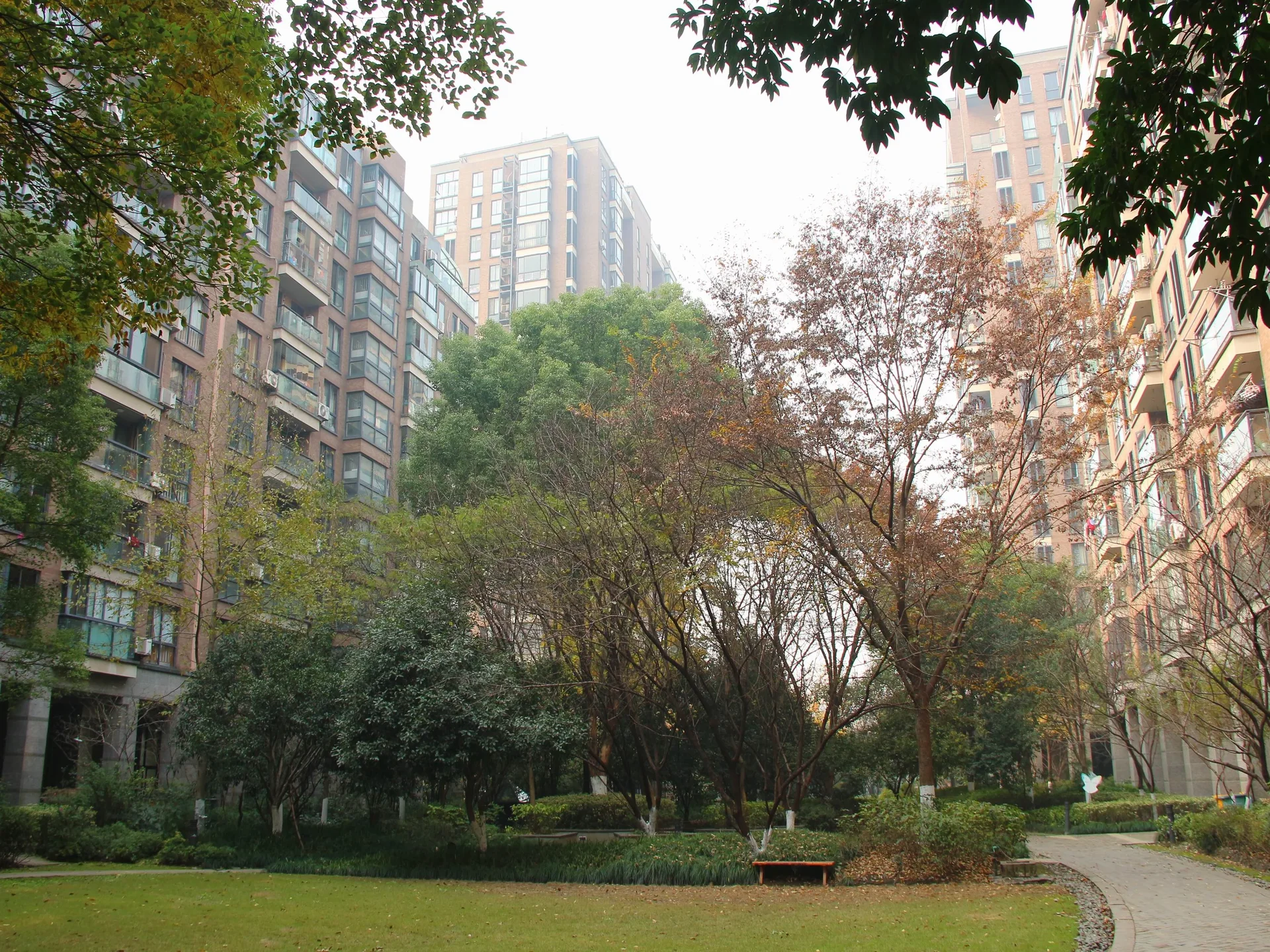 New Century City - Photo 17