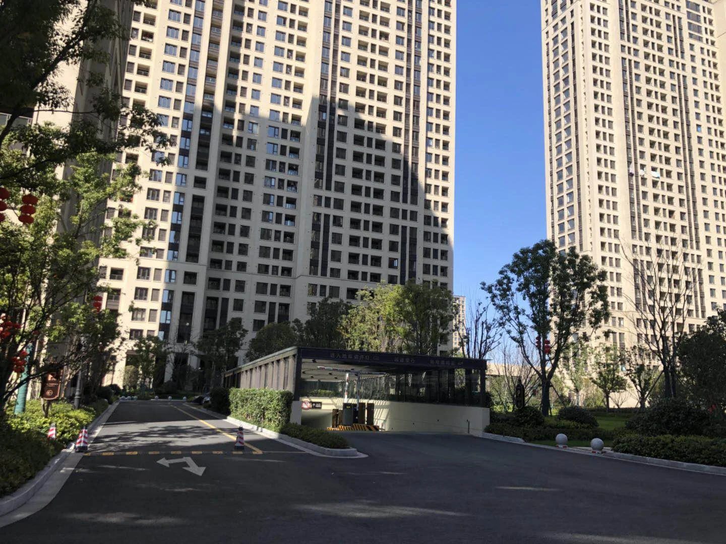 Golden Dawn Light - Photo 8