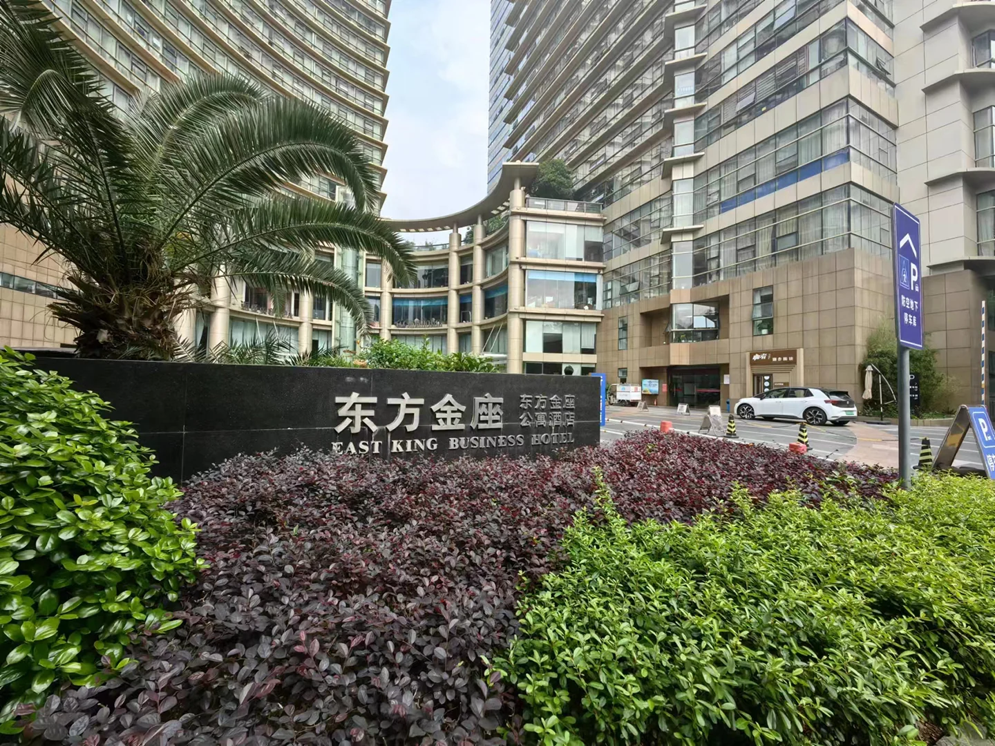 Oriental Golden - Photo 10