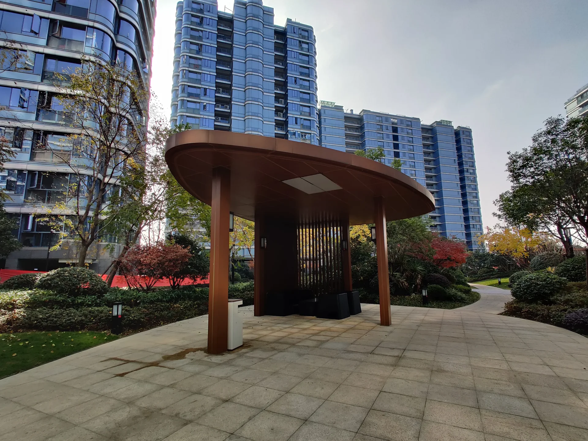 Blue Peacock - Photo 12