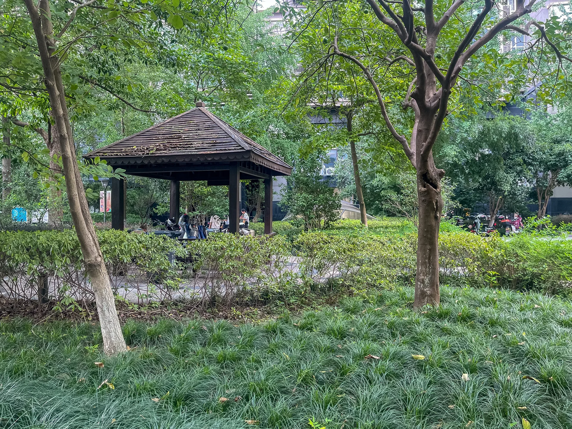 Modern  Garden - Photo 17