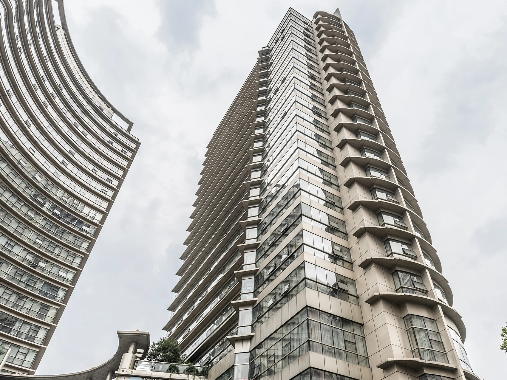 Oriental Golden - Photo 5