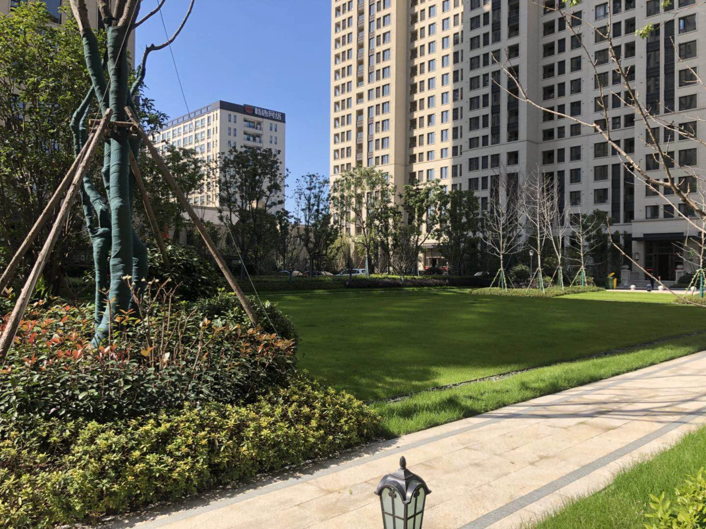 Golden Dawn Light - Photo 14