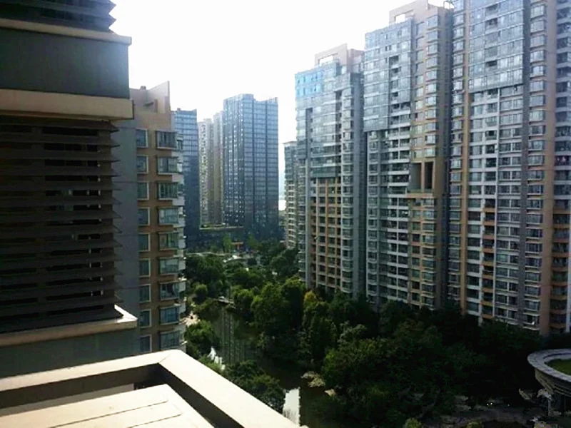 Ease Sky Plaza  - Photo 9