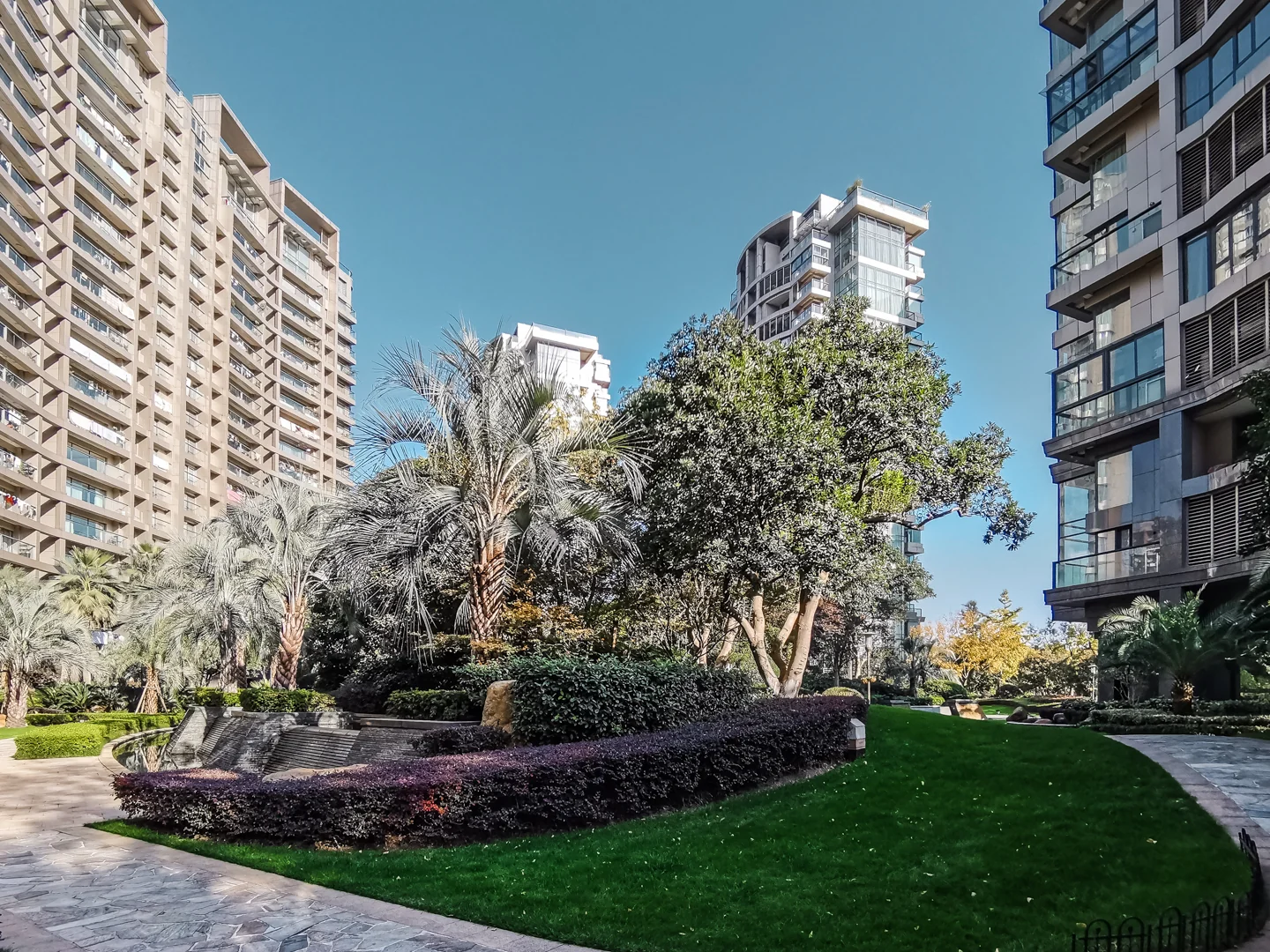 The Dreamland - Photo 4