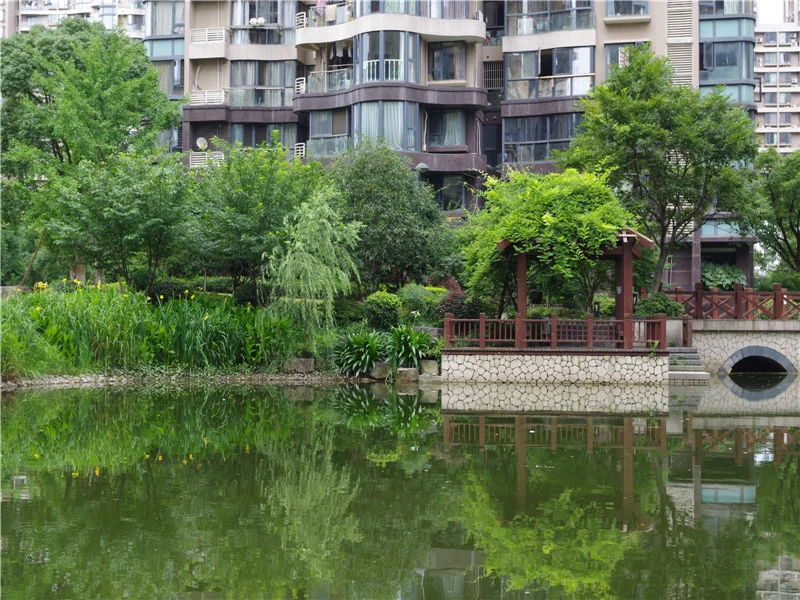 YJ Cultural Garden - Photo 43