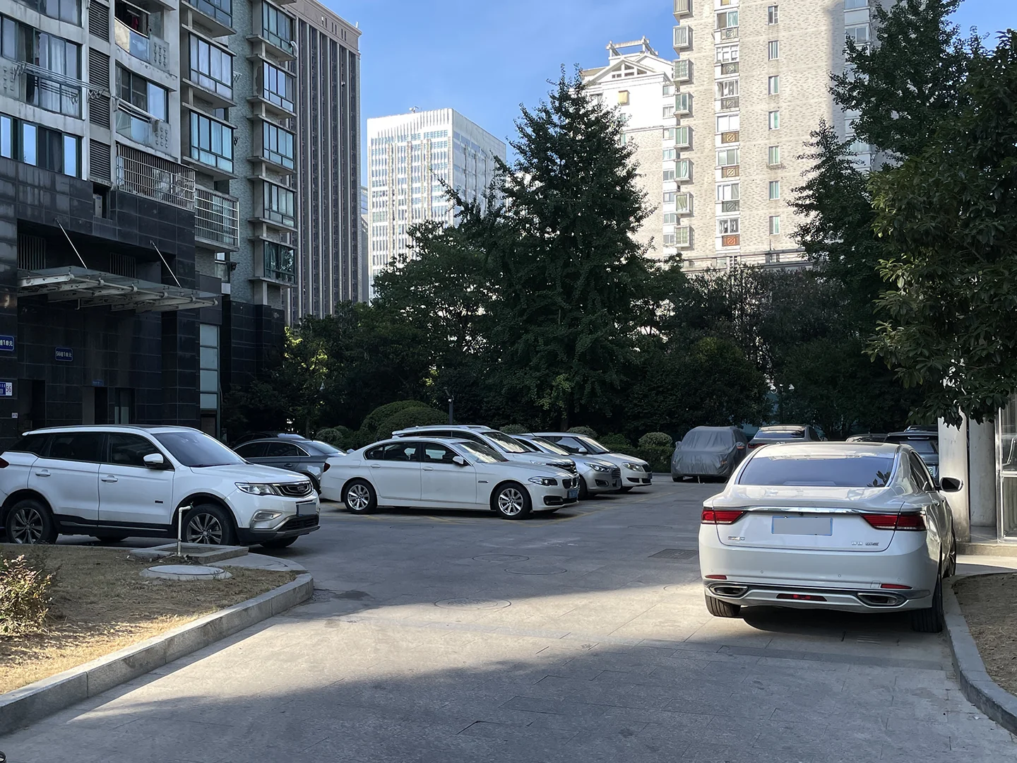 Zhong Xin Garden  - Photo 25