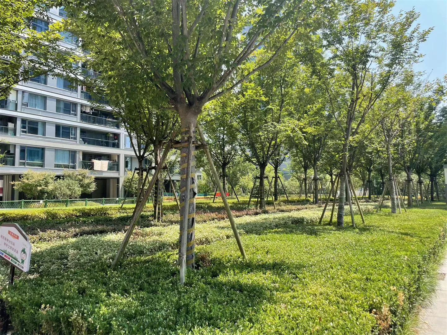 Phoenix Cloud Mansion - Photo 18