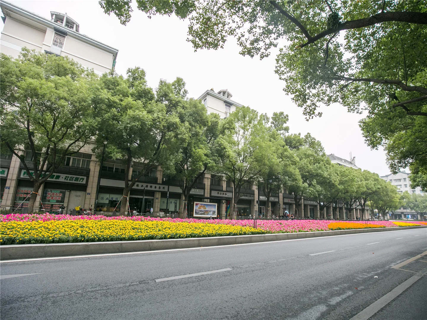 Lotus Court - Photo 5