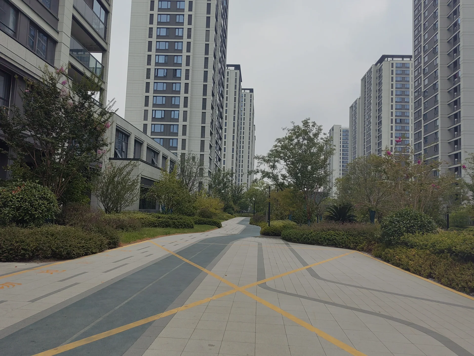 Serene Grace - Photo 2