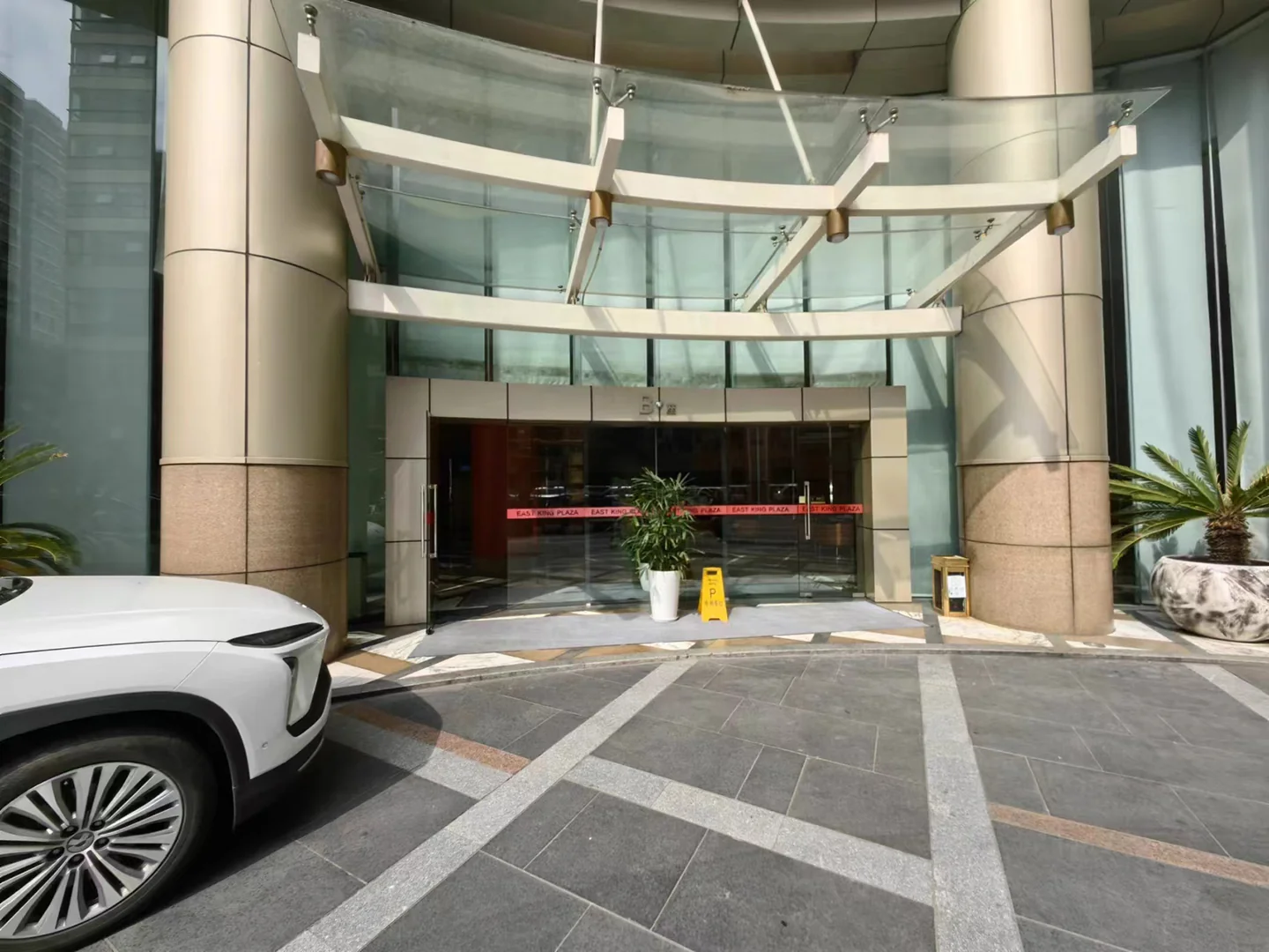 Oriental Golden - Photo 15