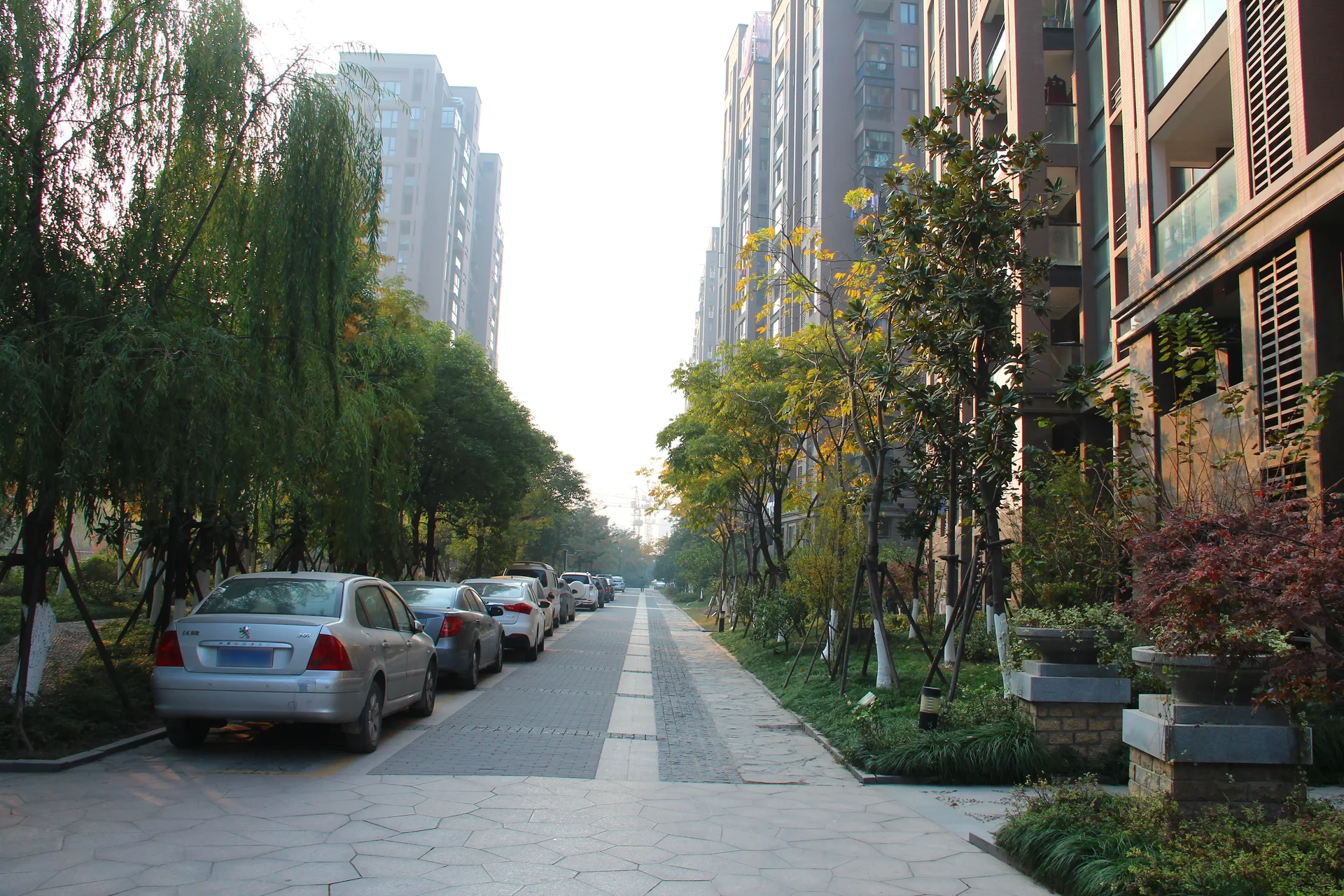 Lingshang Mountain Garden - Photo 27