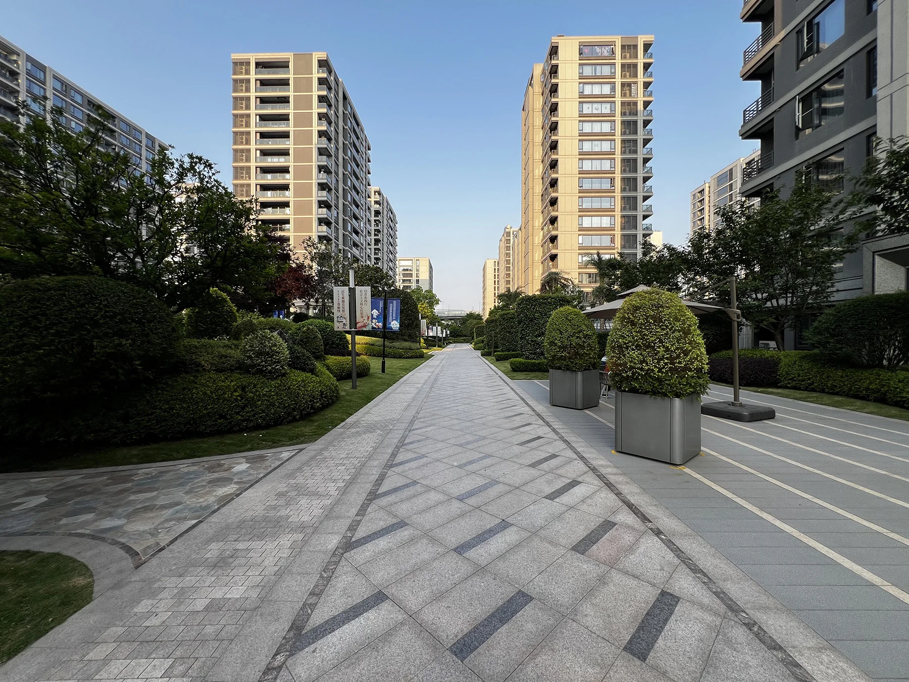 Bloom Melody  - Photo 6