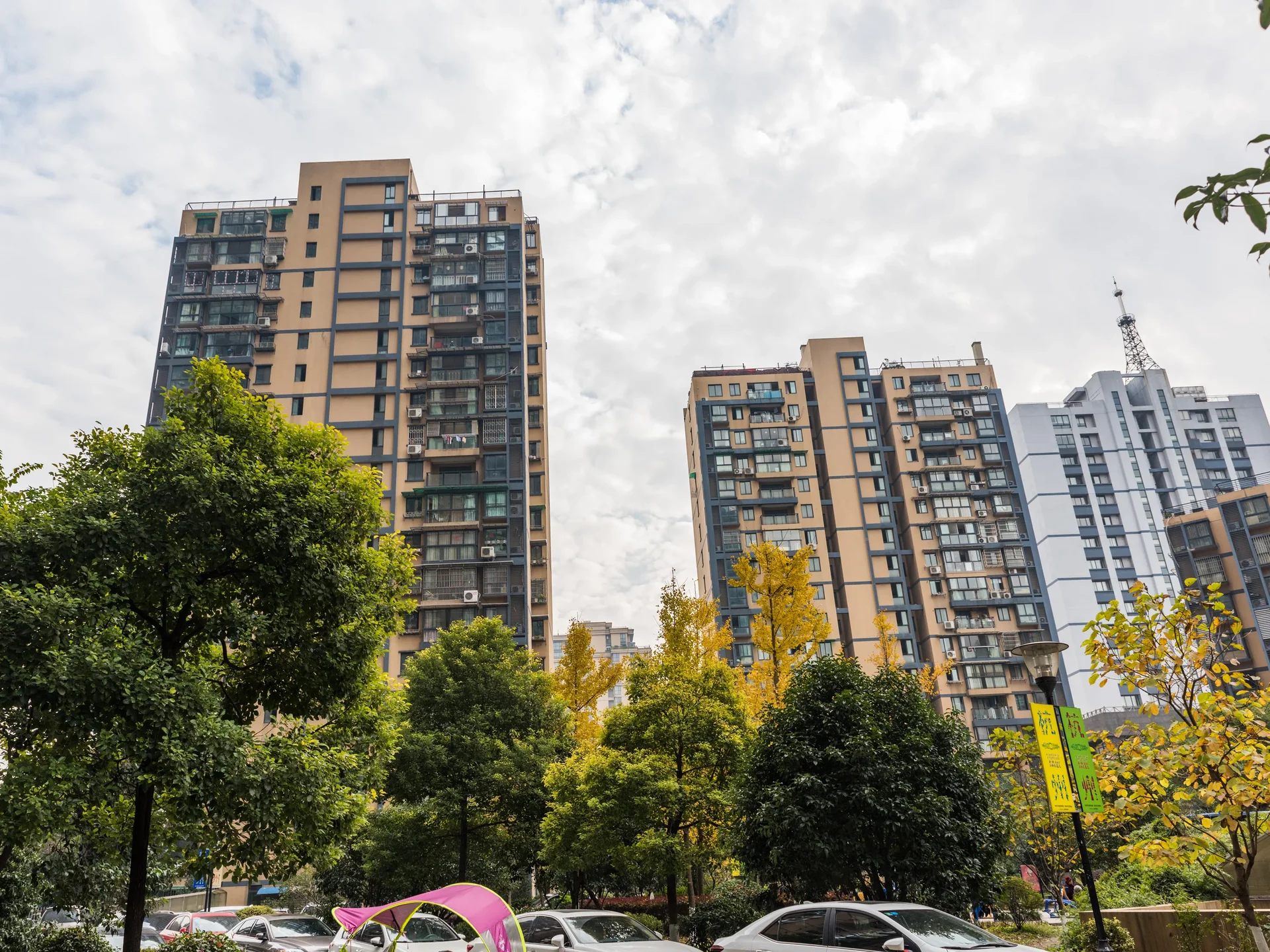 Phoenix North Garden - Photo 10