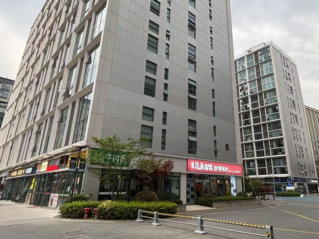 Redbud Radiance - Photo 2