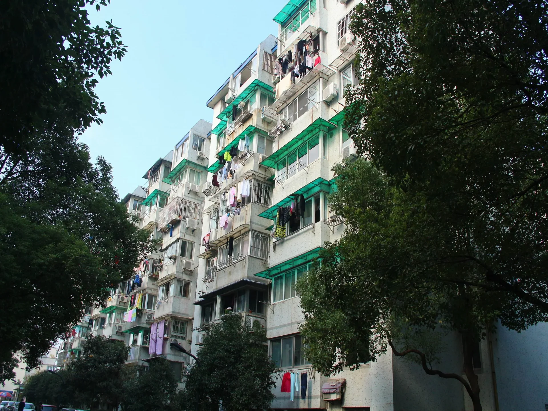 Nandu Garden - Photo 12