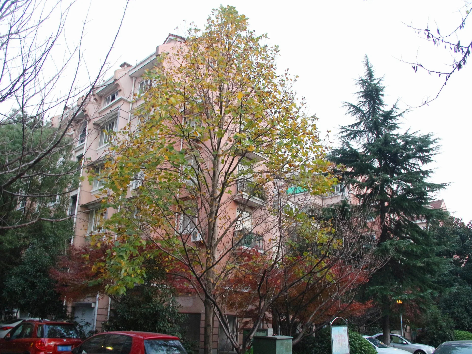 Jialv West Garden - Photo 7