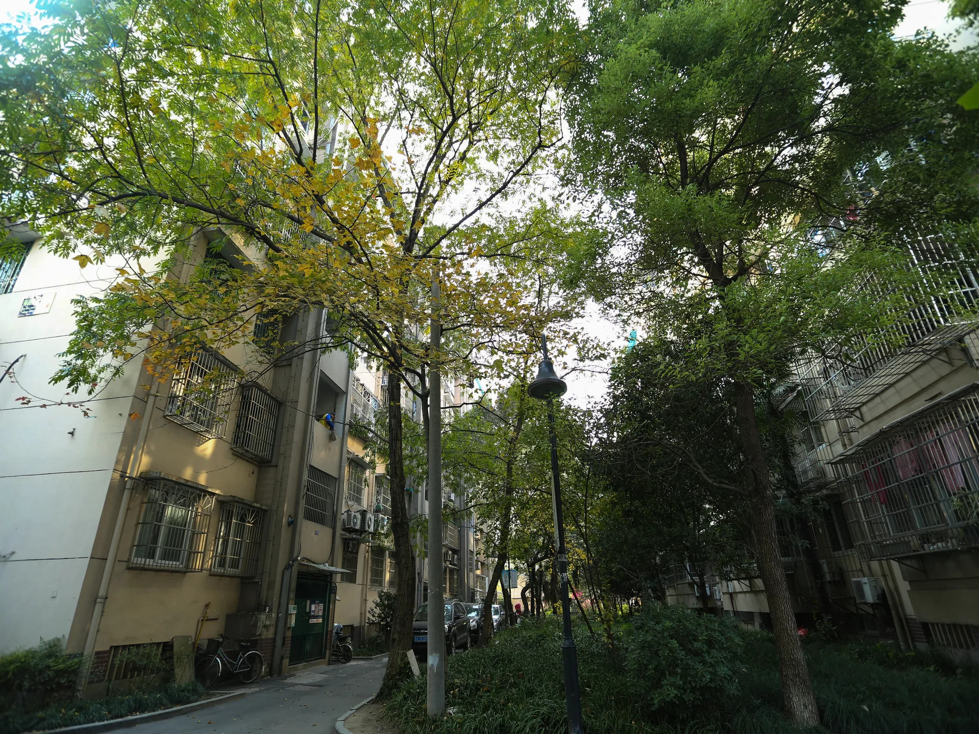  Shiyuan New Village - Photo 4