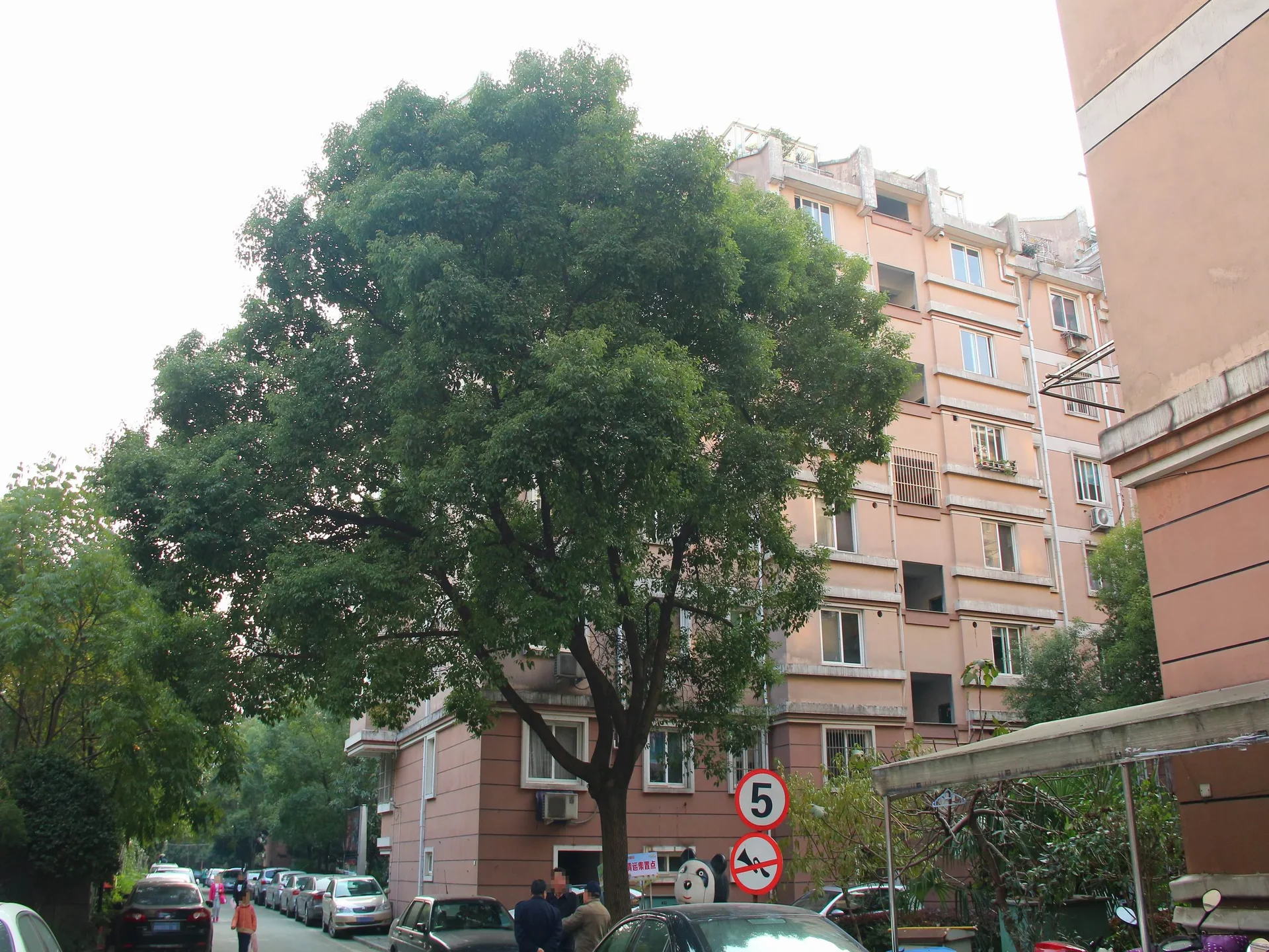 South Jia Lv Yuan - Photo 5