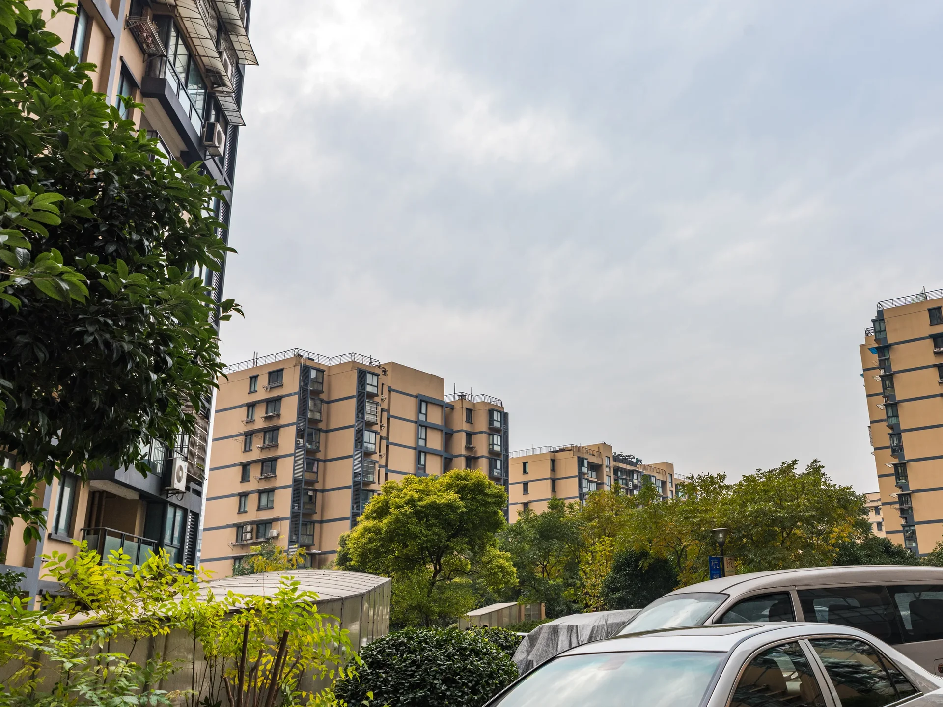 Phoenix North Garden - Photo 11