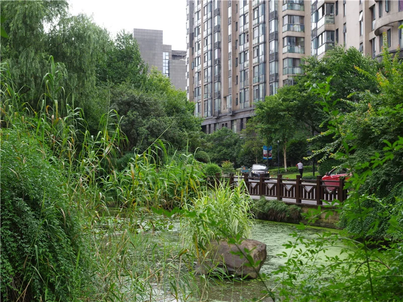 YJ Cultural Garden - Photo 38