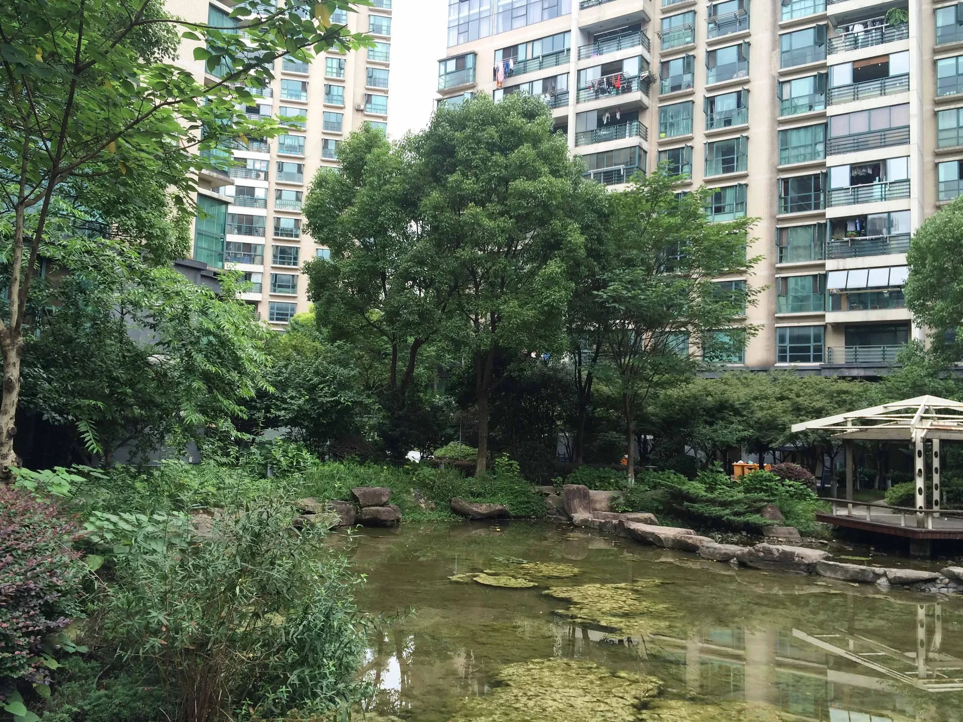 Qiantang Spring Dawn - Photo 7