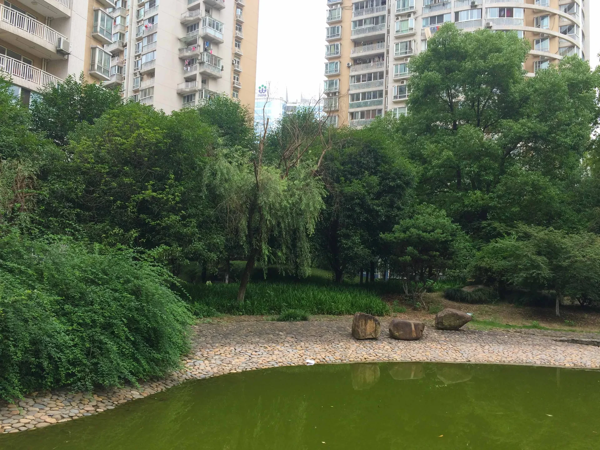 Jiangnan Manor - Photo 11