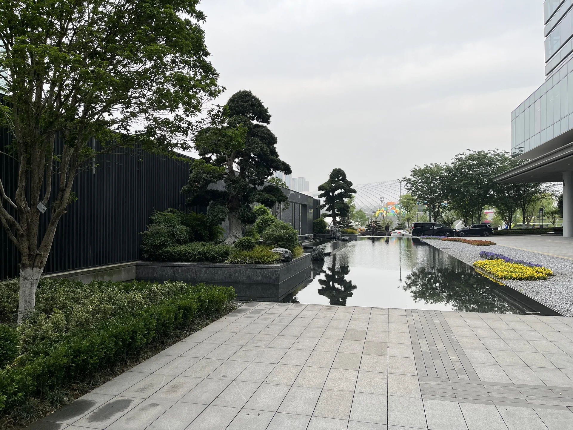 Dark Blue International Center - Photo 4