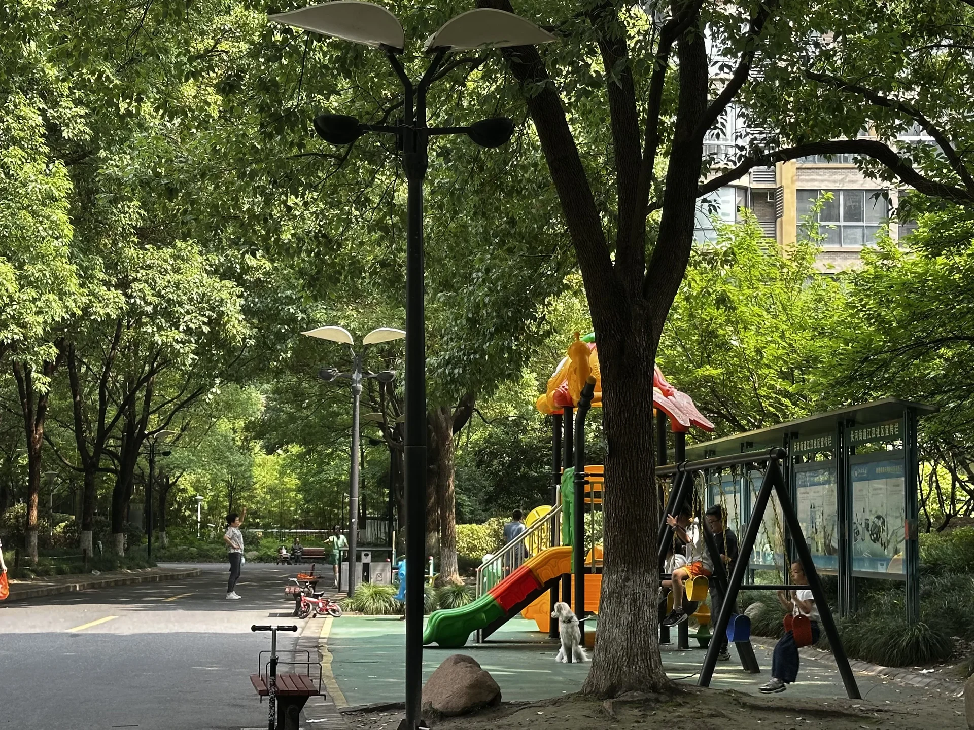 Love of the City - Photo 6