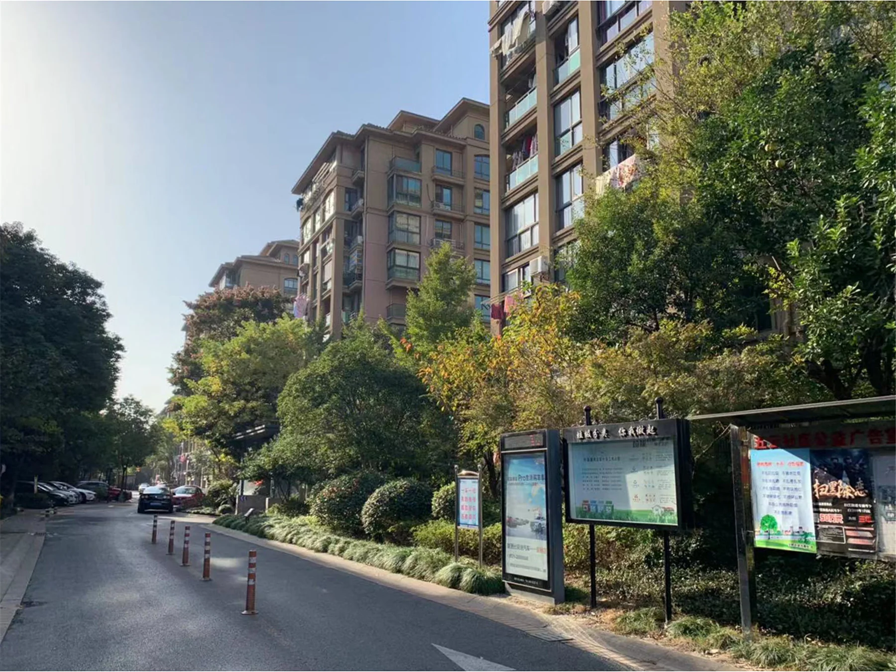 Regal Garden  - Photo 11