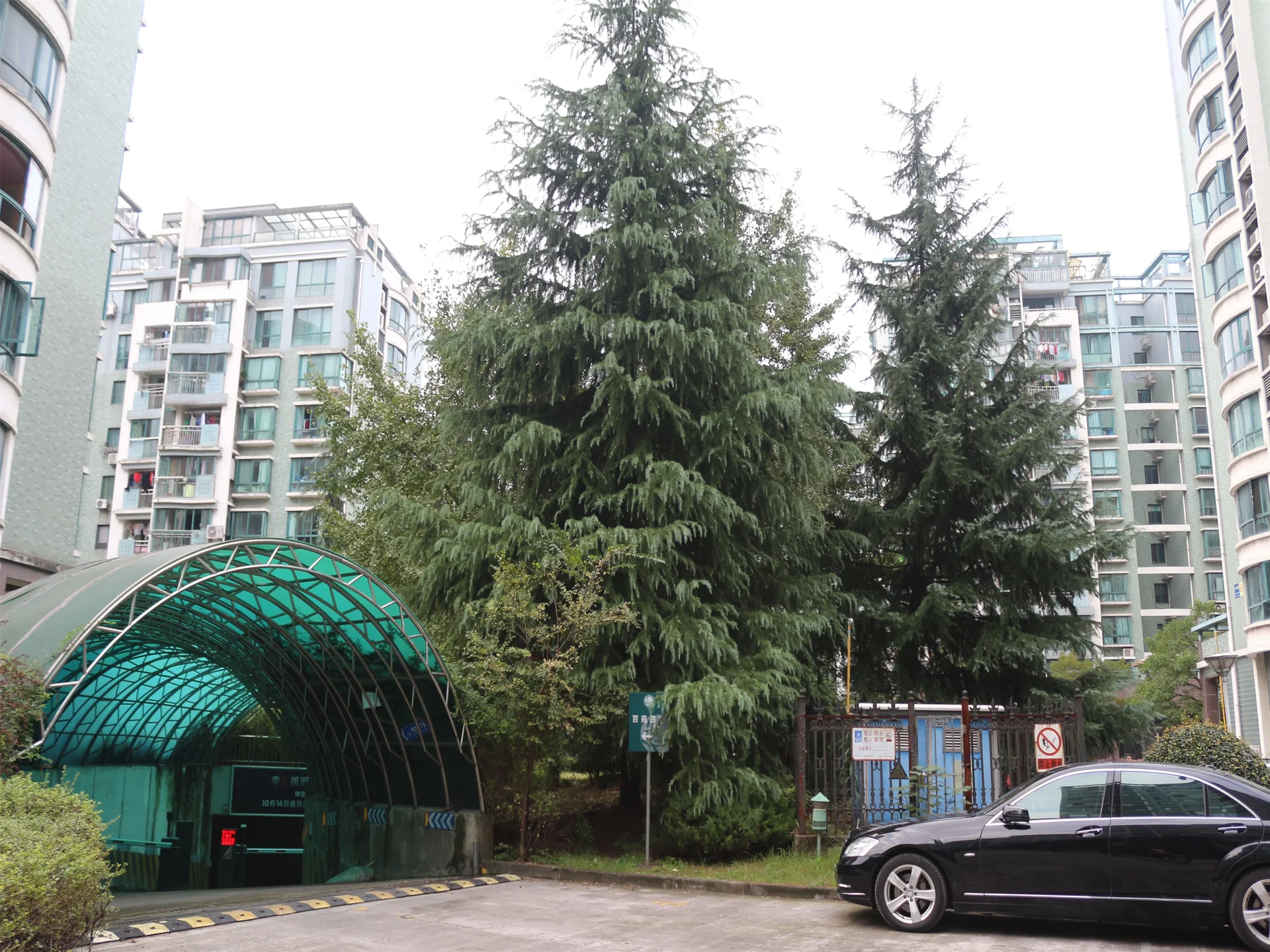 Zhong Xin Garden  - Photo 32