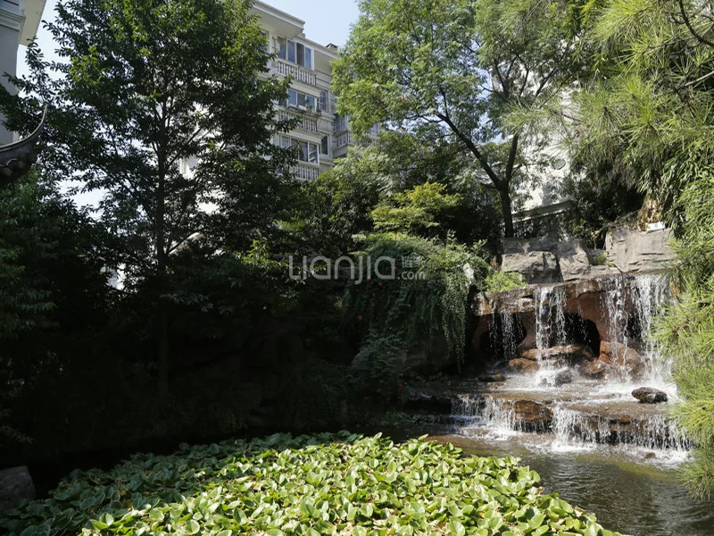 Eden View Garden - Photo 20