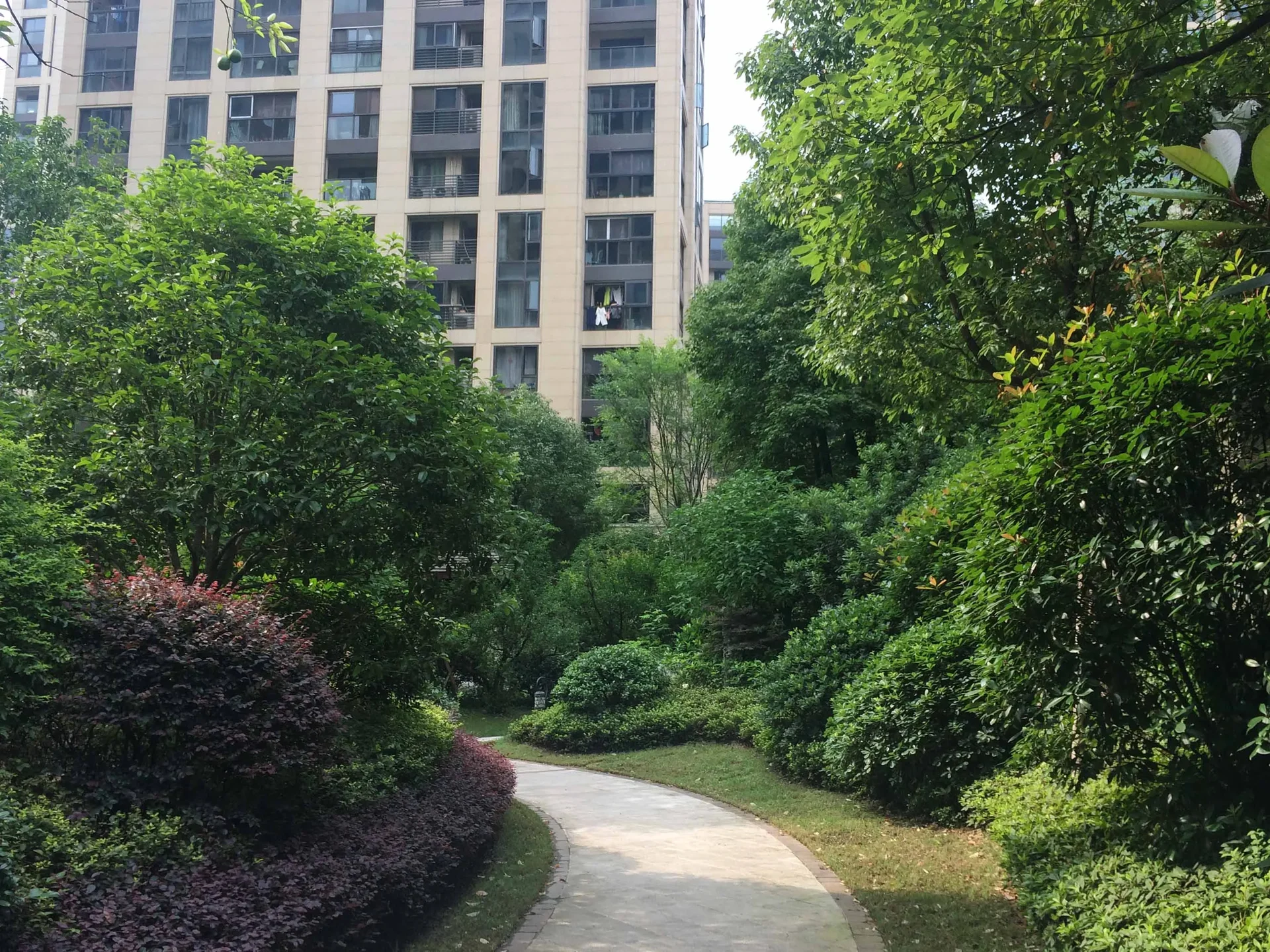 Jiangnan Vista - Photo 16