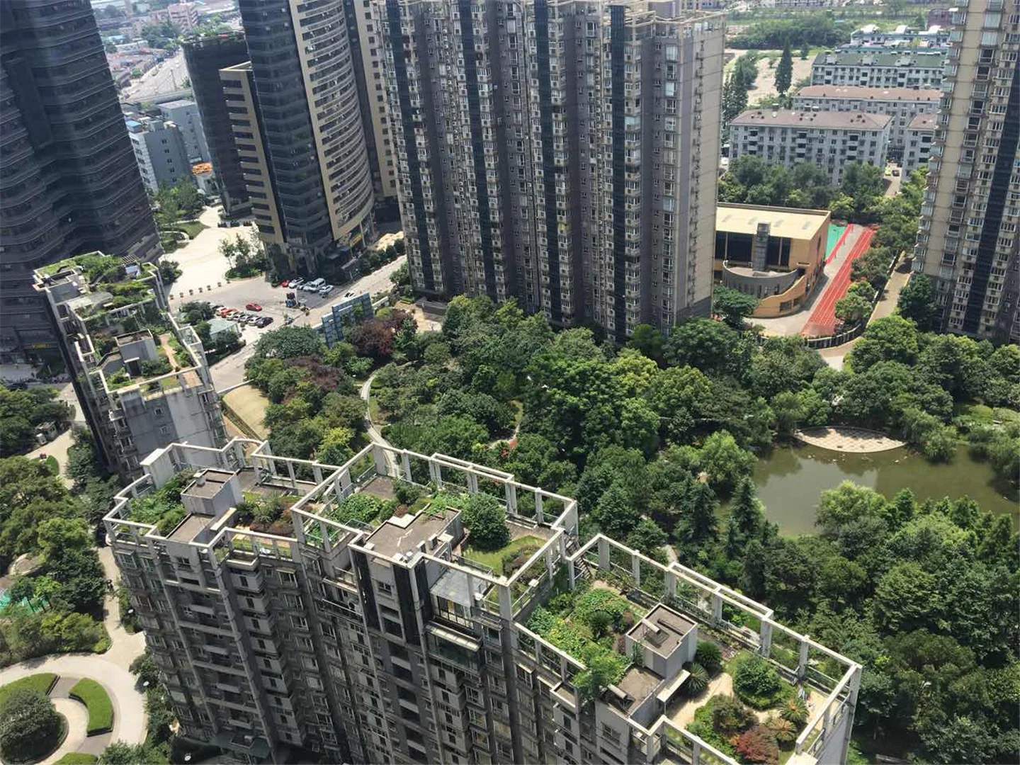 Modern  Garden - Photo 33