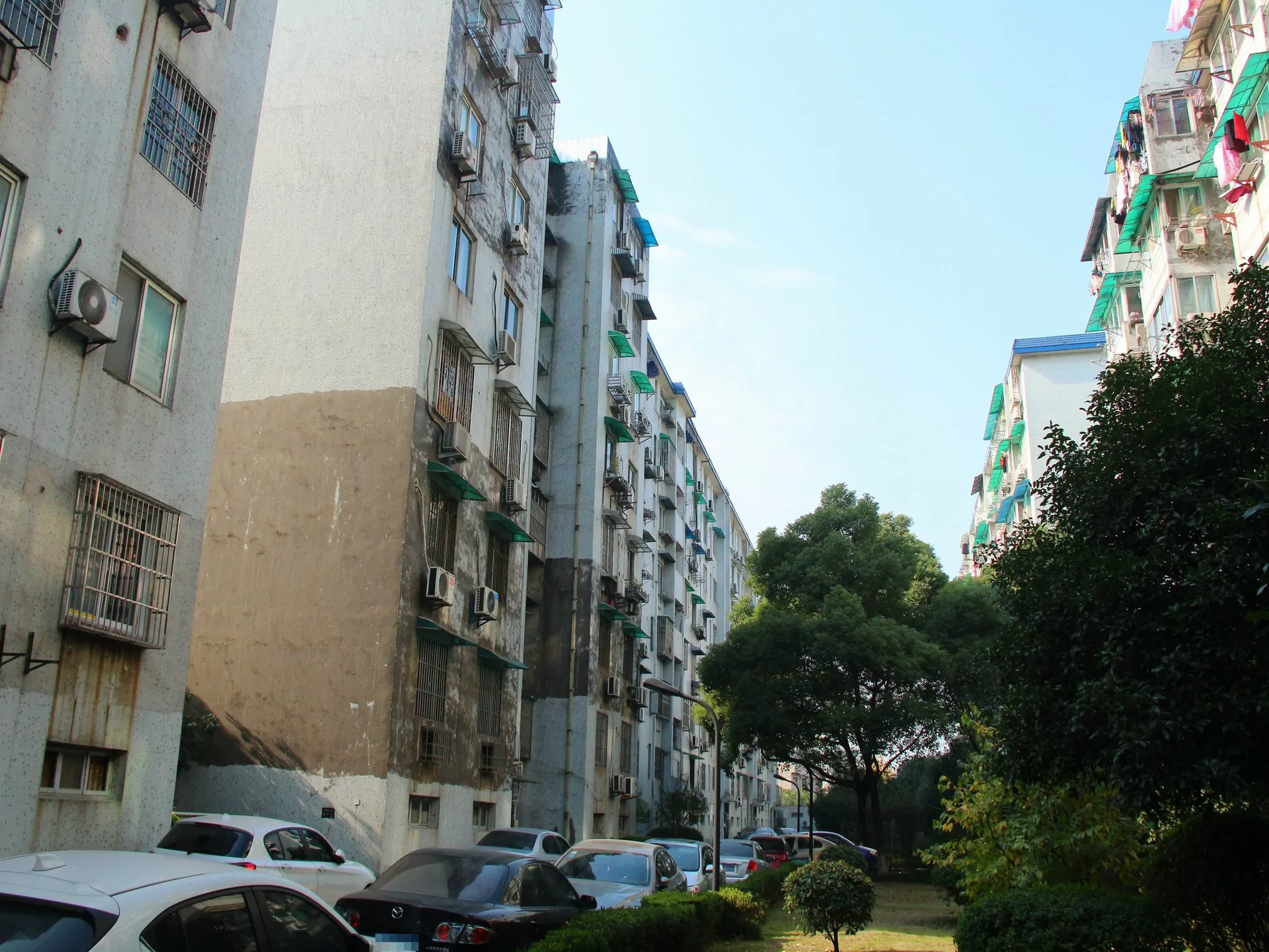 Nandu Garden - Photo 4