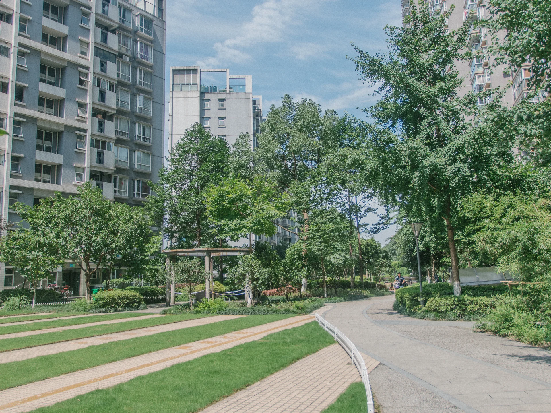 Modern  Garden - Photo 12