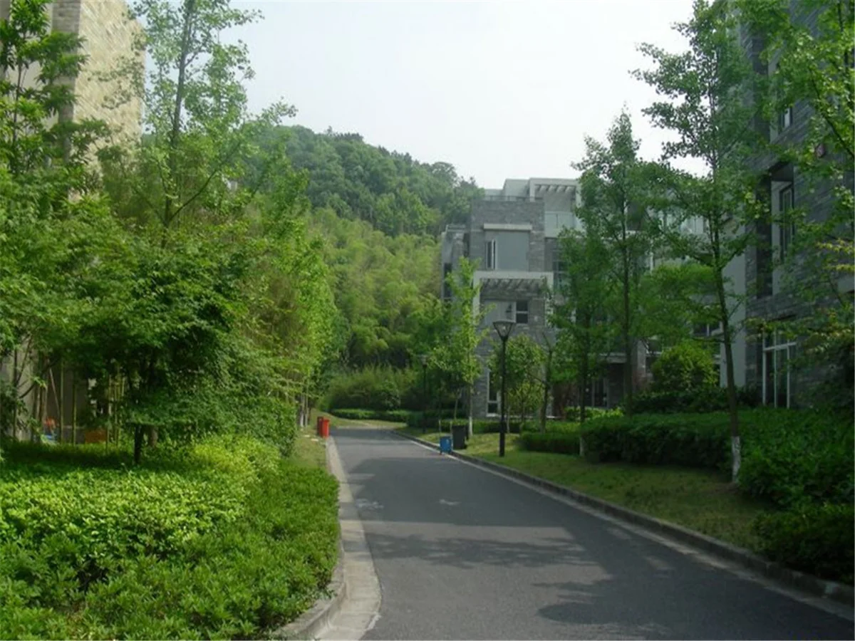 South Bank - Photo 28