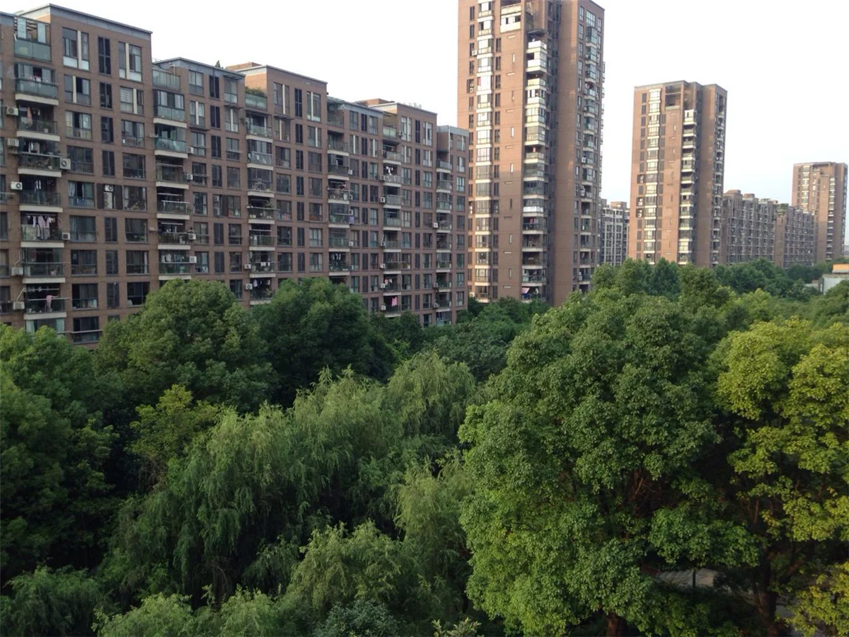 New Century City - Photo 8